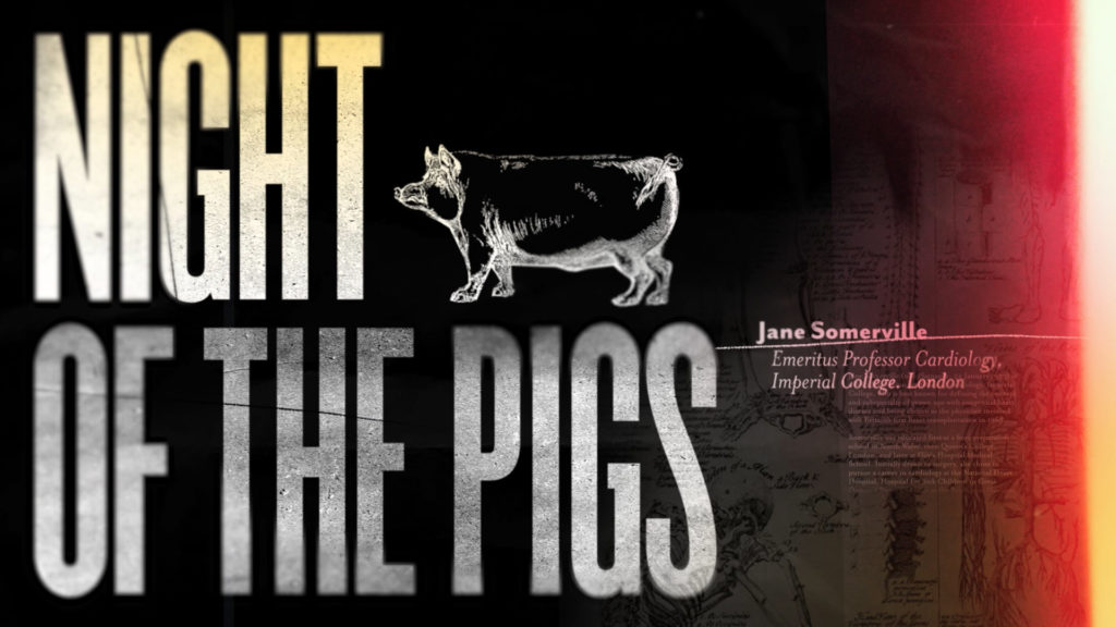 Night of the Pigs